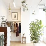 ウォータースタンドの配管はお部屋の邪魔にならない？写真で解説します！