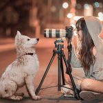 愛犬も喜ぶウォータースタンドの特徴とは?愛犬家に人気の理由がわかる!