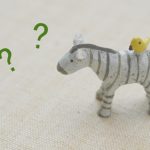 私にはどっちがいい?ウォータースタンドとピュレストを迷う人向け記事