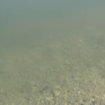 コスモウォーターに濁りが!?今すぐやるべき対処法をお伝えします!