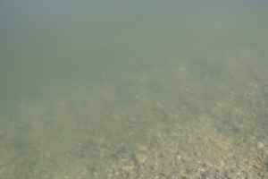 コスモウォーターに濁りが！？今すぐやるべき対処法をお伝えします！