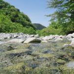 クリクラのお水は天然水じゃないってホント?味は美味しいの?