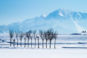新潟でウォータースタンドを使いたい！対応地域かチェックしよう！