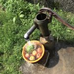 塩素殺菌されていないお水は危険!?ピロリ菌感染してしまうの?