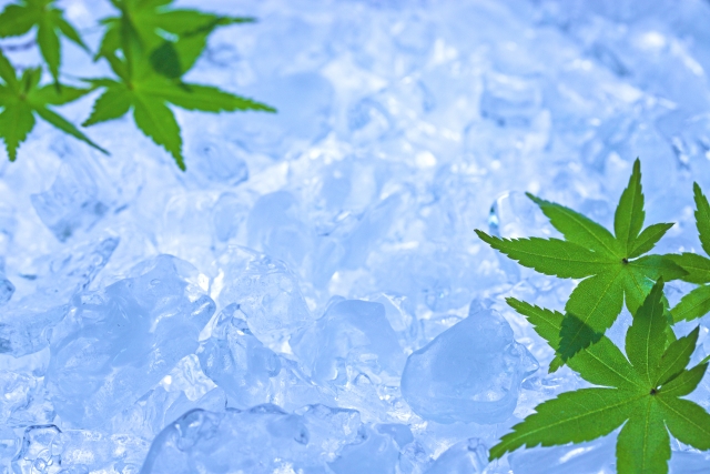 掃除した製氷機で作った氷