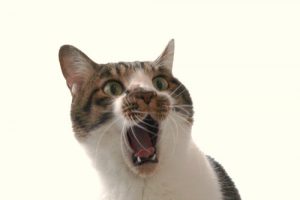 ウォーターサーバー　ビックリ