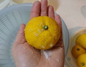 ゆず 塩洗い
