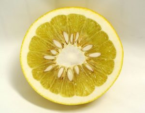 ゆず　しろいワタ