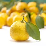 ゆずの保存方法は?ゆず茶にするのがおすすめ