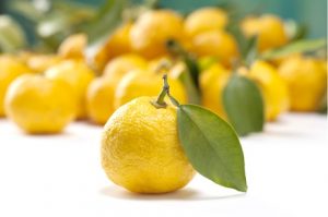 ゆずの保存方法は？ゆず茶にするのがおすすめ