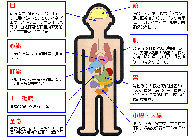 はちみつ 効能
