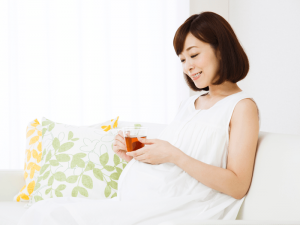たんぽぽ茶　妊婦