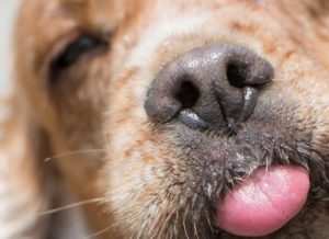 アクアセレクの水が臭いのはどうして？3か所に原因が！