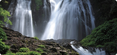 ウォーターワン　島根天然水