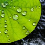 アクアマジックの水漏れ原因は?ボトルの設置ミスでは!